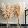 40" Elegant Tall Pampas Grass Stems for Boho Decor